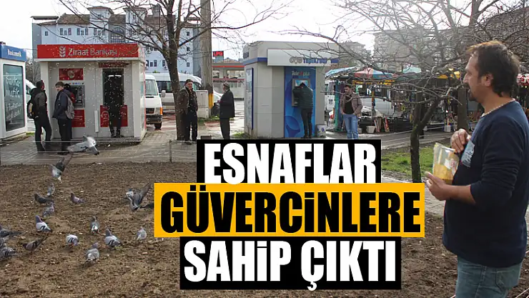 Esnaflar güvercinlere sahip çıktı