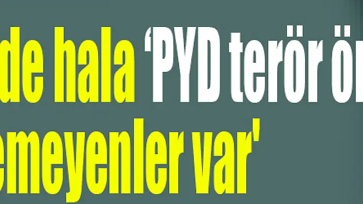 Kalın: 'CHP içinde hala 'PYD terör örgütü' diyemeyenler var'