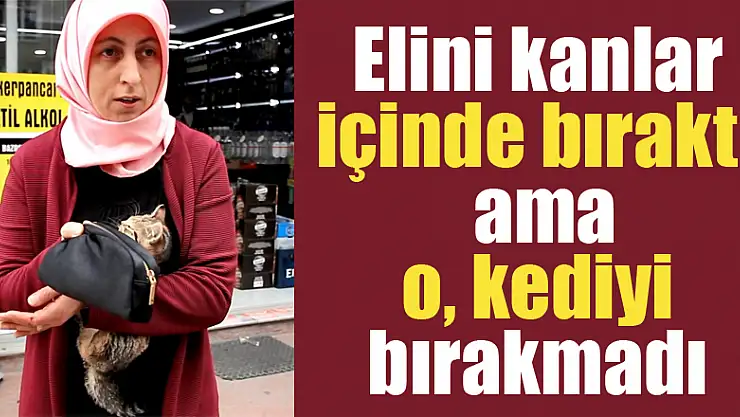 Elini kanlar içinde bıraktı ama o, kediyi bırakmadı
