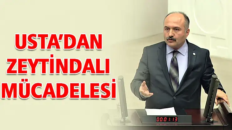 USTA'DAN ZEYTİNDALI MÜCADELESİ