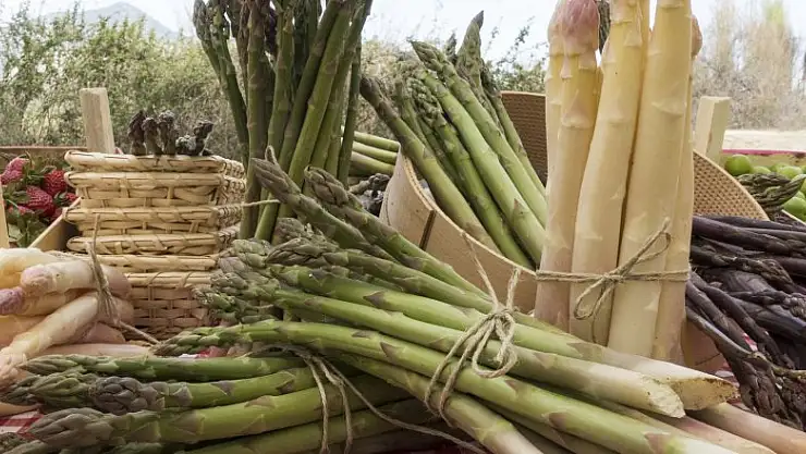 Büyükşehirden yeni bir kırsal kalkınma hamlesi