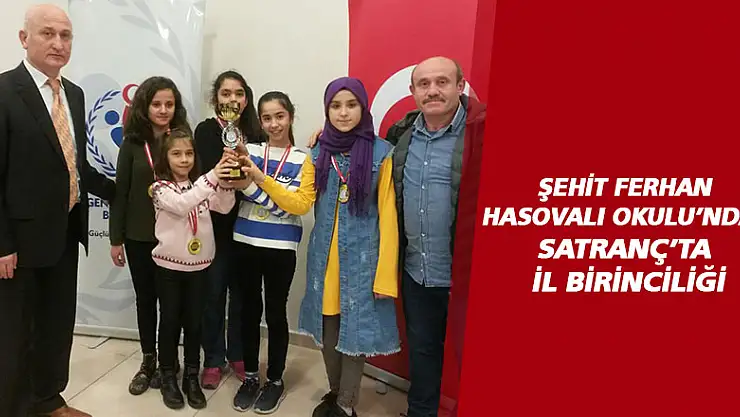 Satranç'ta il birinciliği