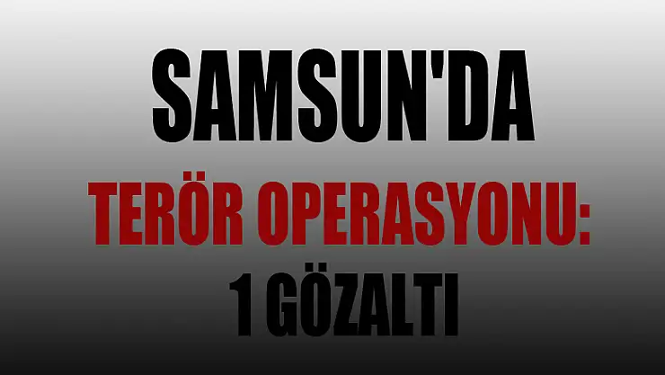 Samsun'da terör operasyonu: 1 gözaltı
