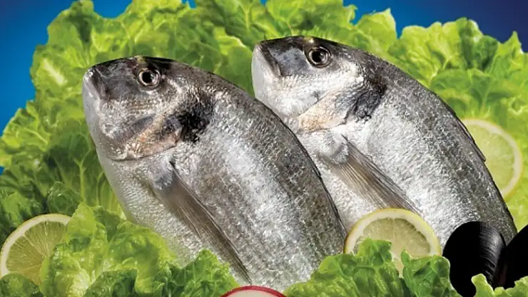 Balık depresyondan koruyor