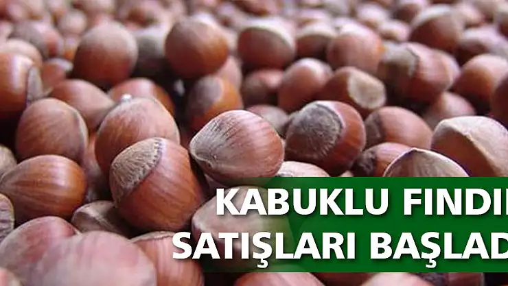 TMO:'Kabuklu Fındık satışlarımız başlamıştır'