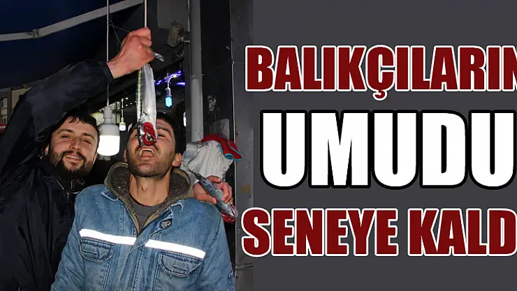 Balıkçıların umudu seneye kaldı