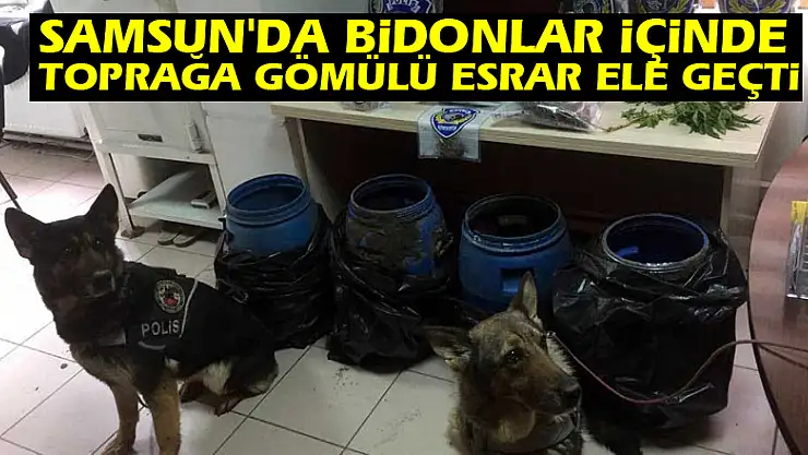 Samsun'da bidonlar içinde toprağa gömülü esrar ele geçti