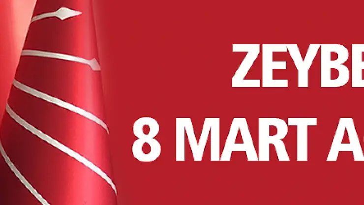 Zeybek'ten 8 Mart açıklaması