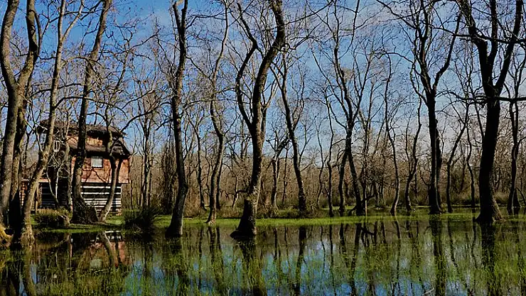 Kızılırmak Deltası doğal güzelliğiyle göz kamaştırıyor 