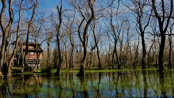 Kızılırmak Deltası doğal güzelliğiyle göz kamaştırıyor