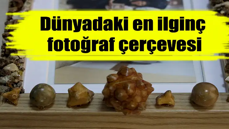 Dünyadaki en ilginç fotoğraf çerçevesi