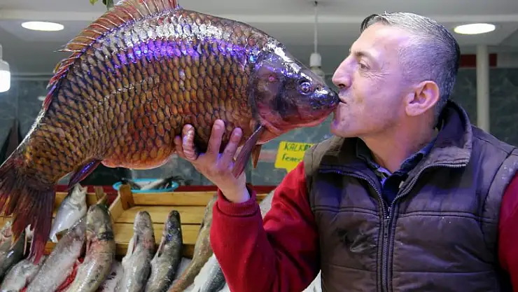 Bu balıkları görenler hayrete düştü