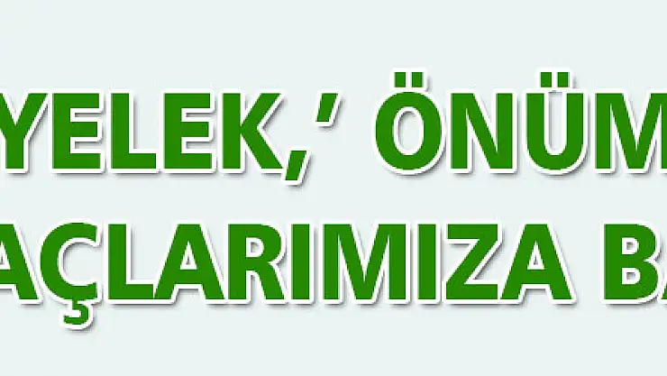 YELEK,' ÖNÜMÜZDEKİ MAÇLARIMIZA BAKIYORUZ'