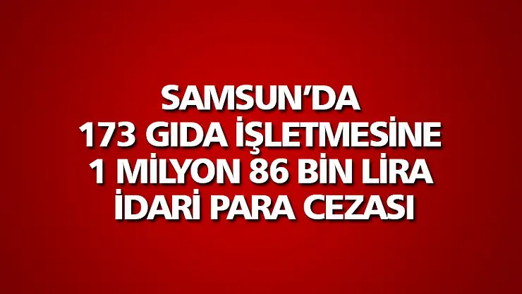 Samsun'da 173 gıda işletmesine 1 milyon 86 bin lira idari para cezası