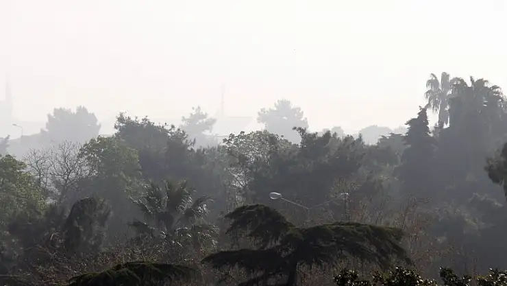 Samsun güne yoğun sisle uyandı