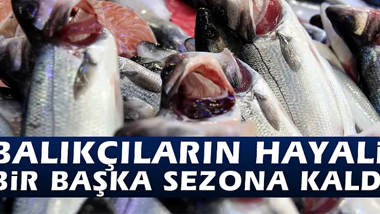 Balıkçıların hayali bir başka sezona kaldı