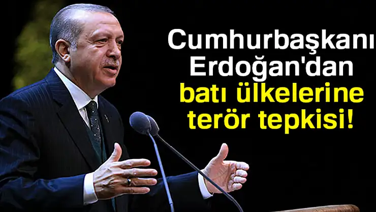 Cumhurbaşkanı Erdoğan'dan batı ülkelerine terör tepkisi