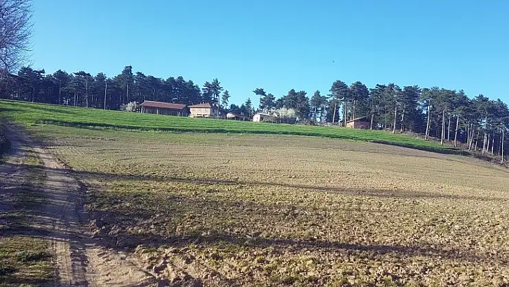  Yan yana olan 3 evin farklı mahalleye bağlı olması şaşırtıyor 