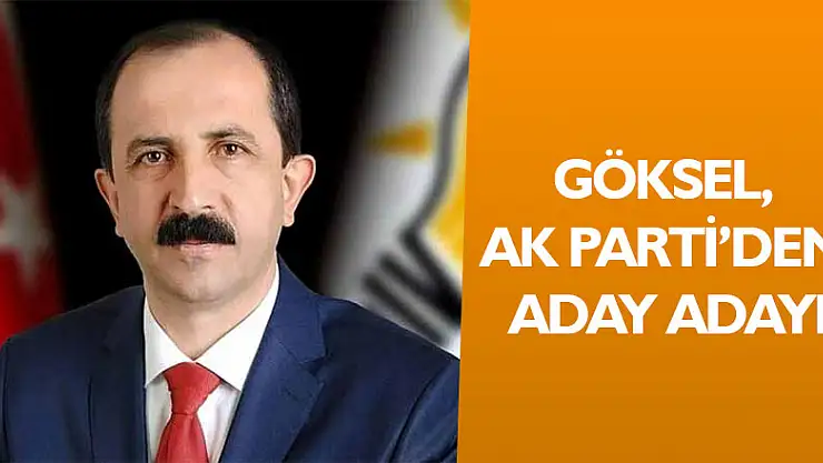 Göksel, AK Parti'den aday adayı