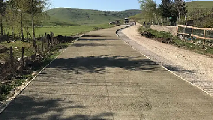 Ordu'da Yeşil Yol'da yaylalar birleşiyor