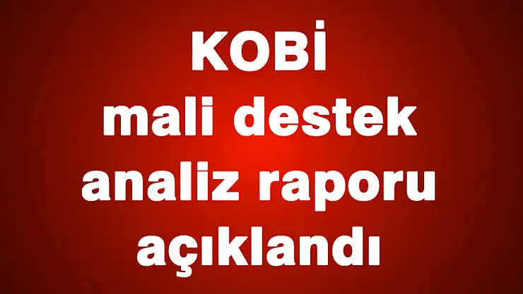 KOBİ mali destek analiz raporu açıklandı