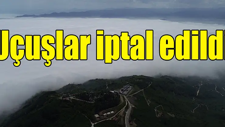  Ordu'yu sis aldı, uçuşlar iptal oldu 