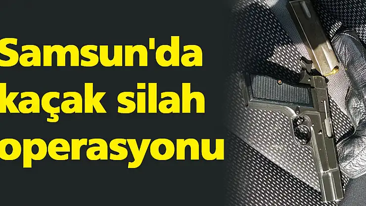 Samsun'da kaçak silah operasyonu