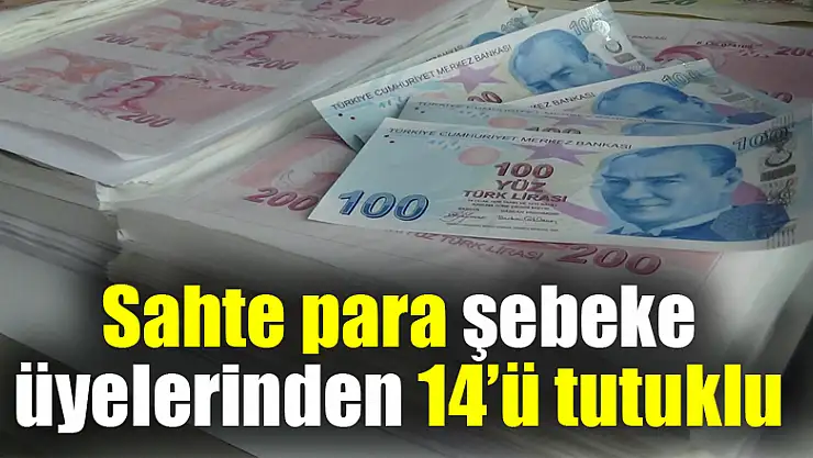Sahte para basan şebeke üyelerinden 14'ü tutuklandı 