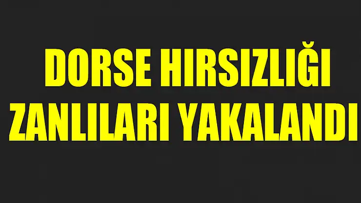 Samsun'da dorse hırsızlığı zanlıları yakalandı 
