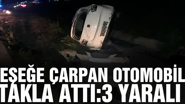 Eşeğe çarpan otomobil takla attı:3 yaralı