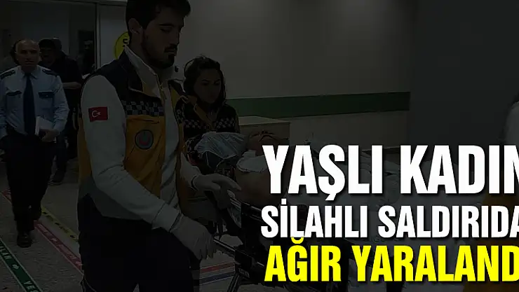 Samsun'da yaşlı kadın silahlı saldırıda ağır yaralandı