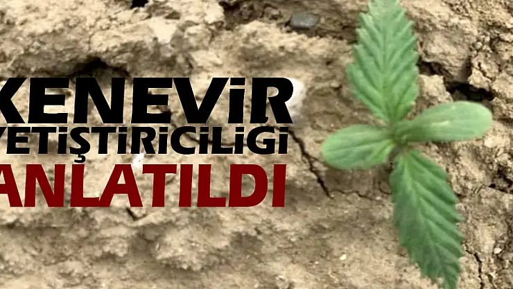 'Kenevir yetiştiriciliği' anlatıldı