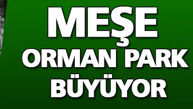 MEŞE ORMAN PARK BÜYÜYOR