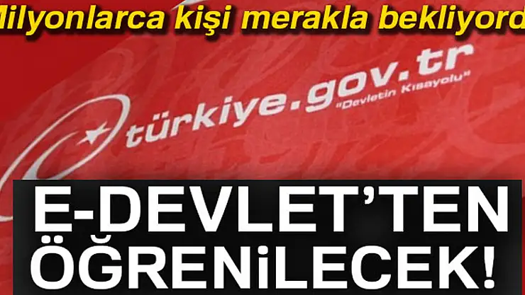 Milyonlarca kişi merakla bekliyordu! e-Devlet'ten öğrenilebilecek