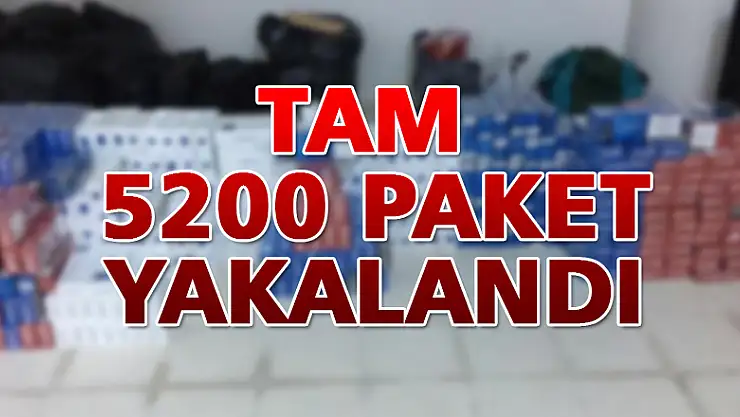 5 bin 200 paket kaçak sigara ele geçirildi 