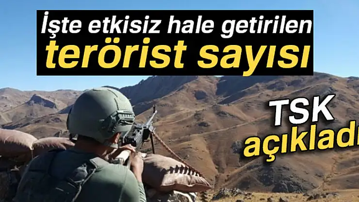 TSK: '3'ü lider kadroda olmak üzere 49 terörist etkisiz hale getirildi'