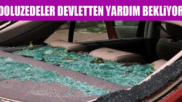 Doluzedeler devletten yardım bekliyor