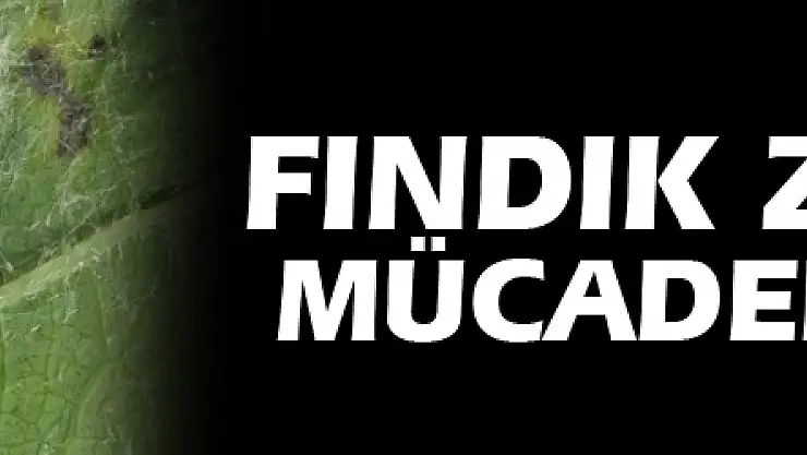 Fındık zararlısı mücadele zamanı