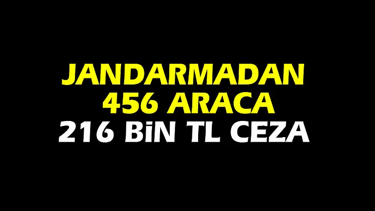 Jandarmadan 456 araca 216 bin TL ceza