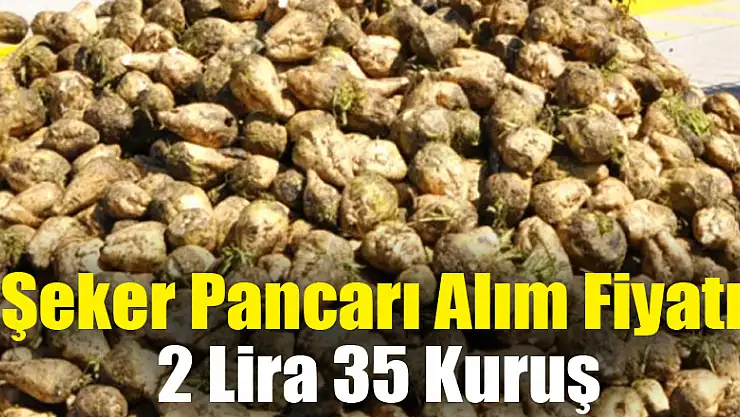 Şeker Pancarı Alım Fiyatı 2 Lira 35 Kuruş