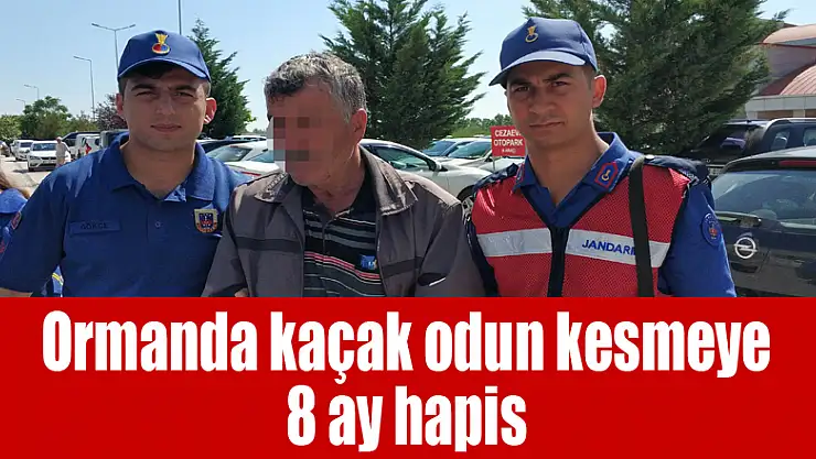 Ormanda kaçak odun kesmeye 8 ay hapis 