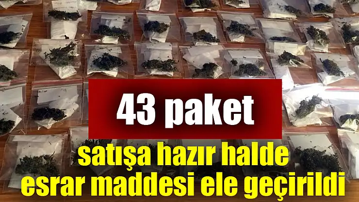 Samsun'da satışa hazır halde 43 paket esrar maddesi ele geçirildi 