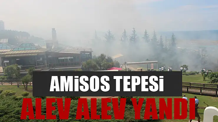 Samsun'da Amisos Tepesi alev alev yandı 