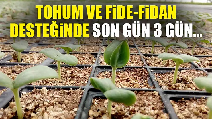 Tohum ve fide-fidan desteğinde son gün 3 gün…