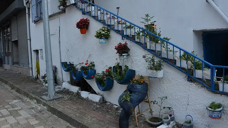 Ordu'da ilginç saksılar evlerin önünü süslüyor 