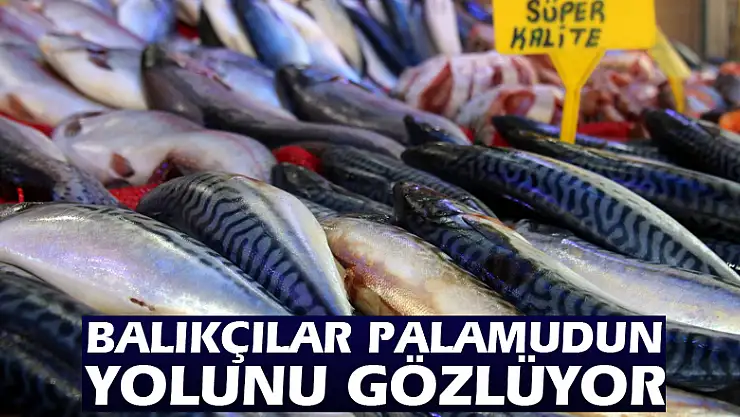 Balıkçılar palamudun yolunu gözlüyor