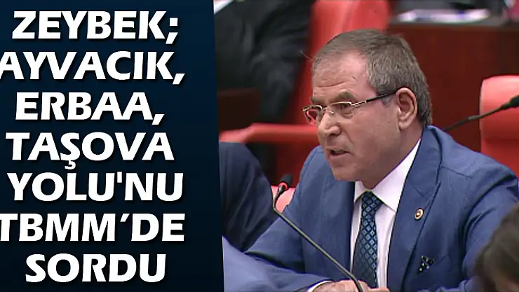 ZeybekAyvacık, Erbaa, Taşova Yolu'nu TBMM'de sordu