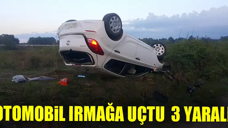 Otomobil ırmağa uçtu : 3 yaralı