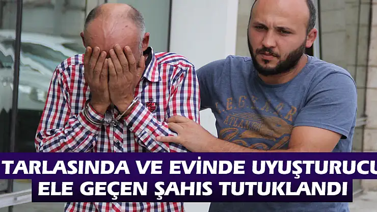 Tarlasında ve evinde uyuşturucu ele geçen şahıs tutuklandı