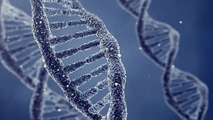 Hepatit, gerekli önlemler alınmadığında ölümcül olabiliyor